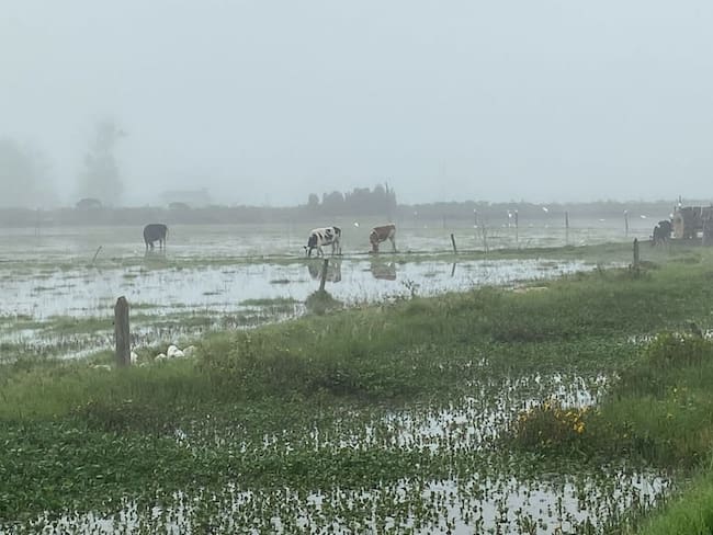 Foto: Alcaldía de San Miguel de Sema.