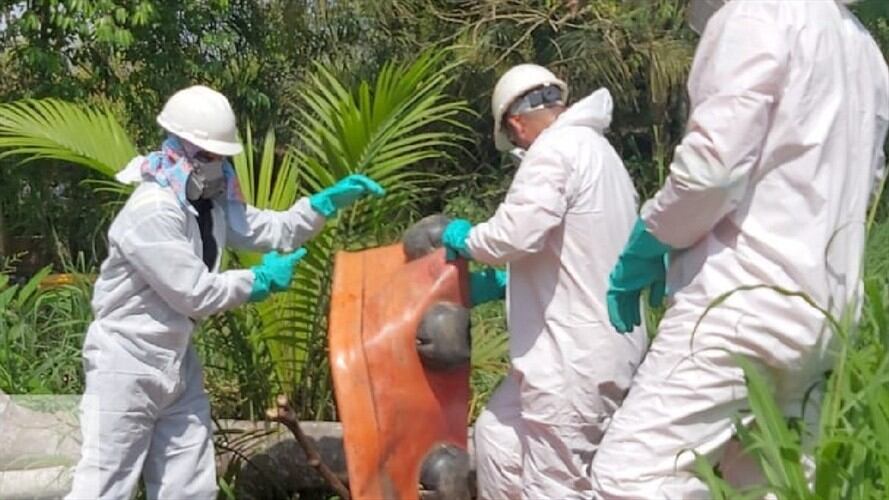 Derrame de crudo . Foto: Cenit