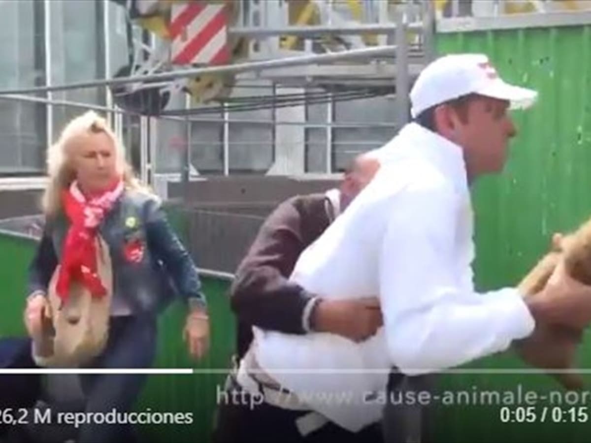 El triste momento en el que animalistas le quitan un cachorro a un habitante de calle