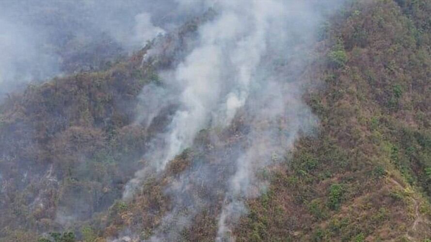 Nuevo incendio forestal está afectando a la Sierra Nevada. Foto: Ejército Nacional