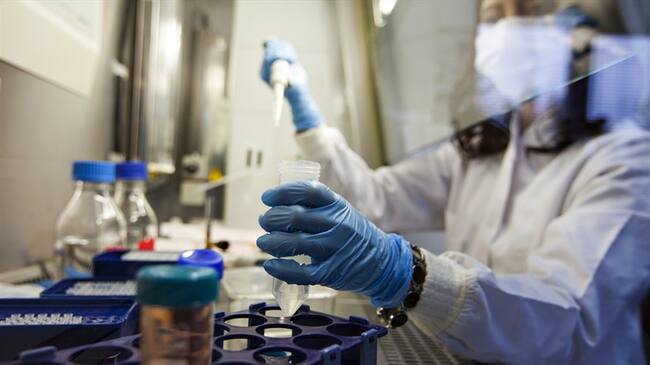 Imagen de referencia. Foto: Getty Images