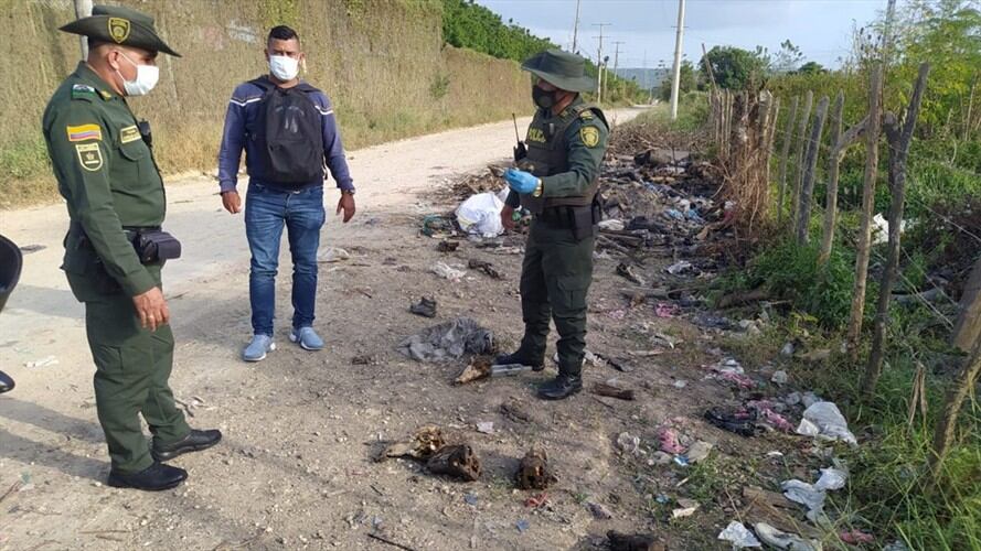 Tras un fétido olor en la zona, los vecinos del sector alertaron a las autoridades. Foto: Cortesía