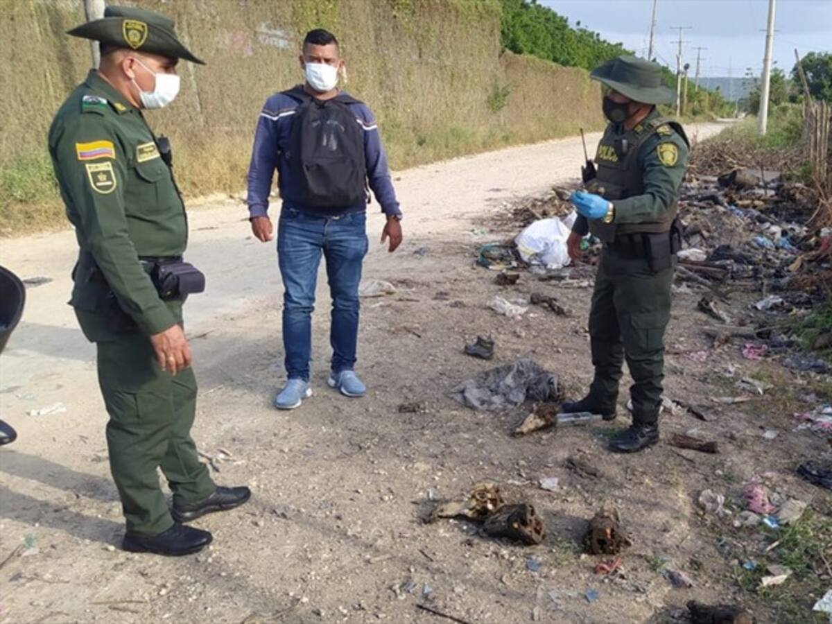 Policía de Cartagena investiga el hallazgo de 10 cabezas de chivo en un basurero satélite