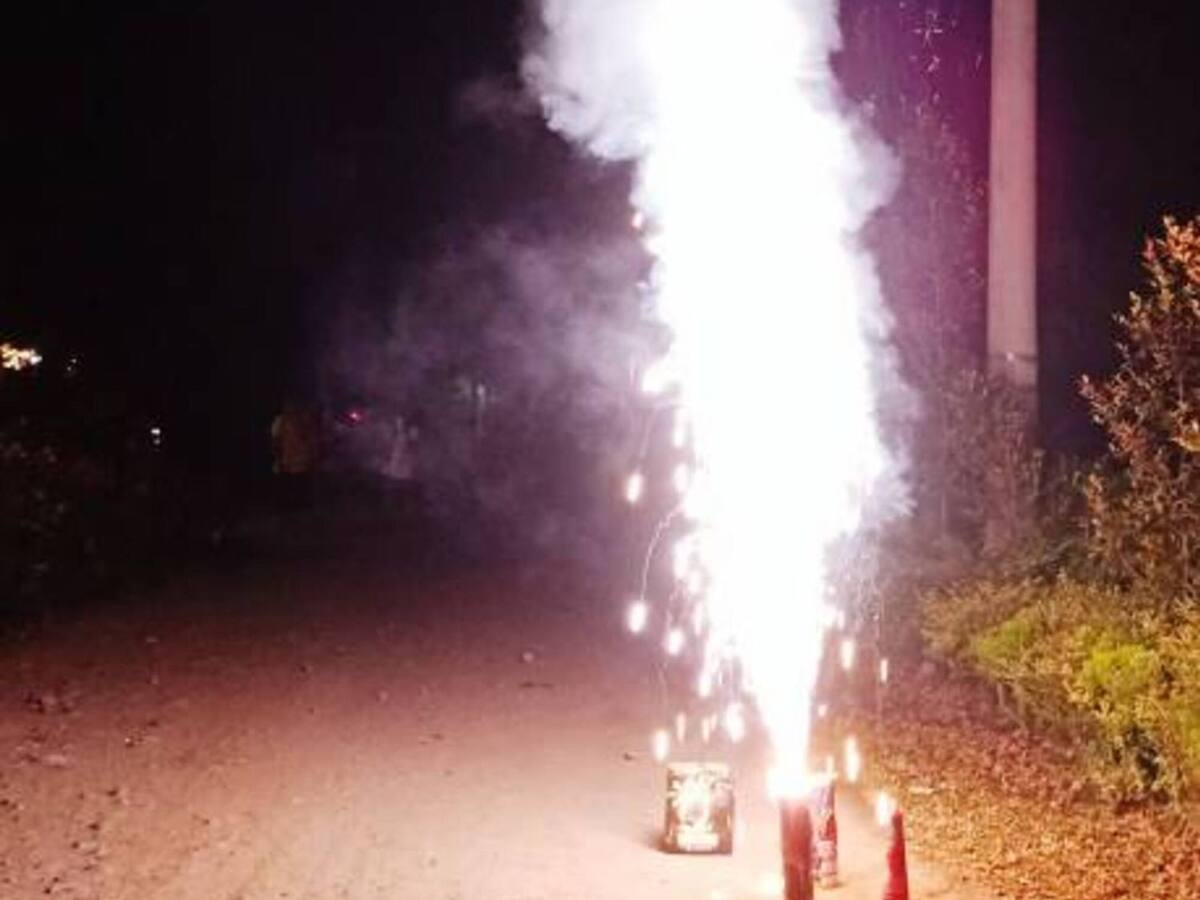 Animalistas samarios preocupados por el uso de la pólvora en la noche de velitas