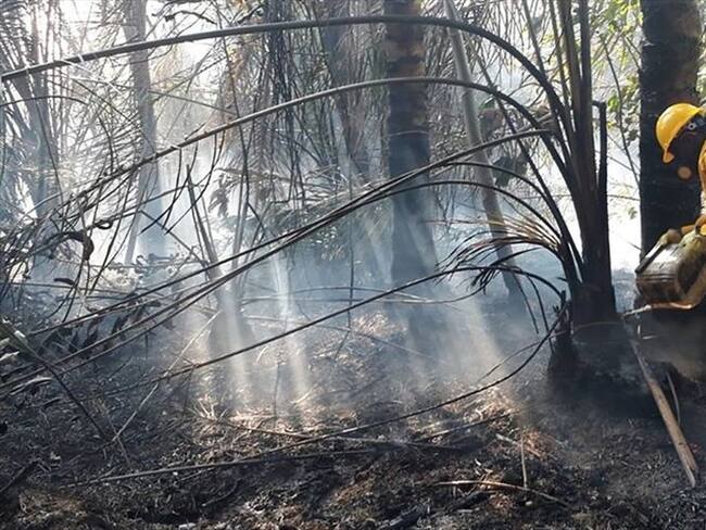 En el último trimestre se han registrado varios incendios forestales. Foto: Colprensa