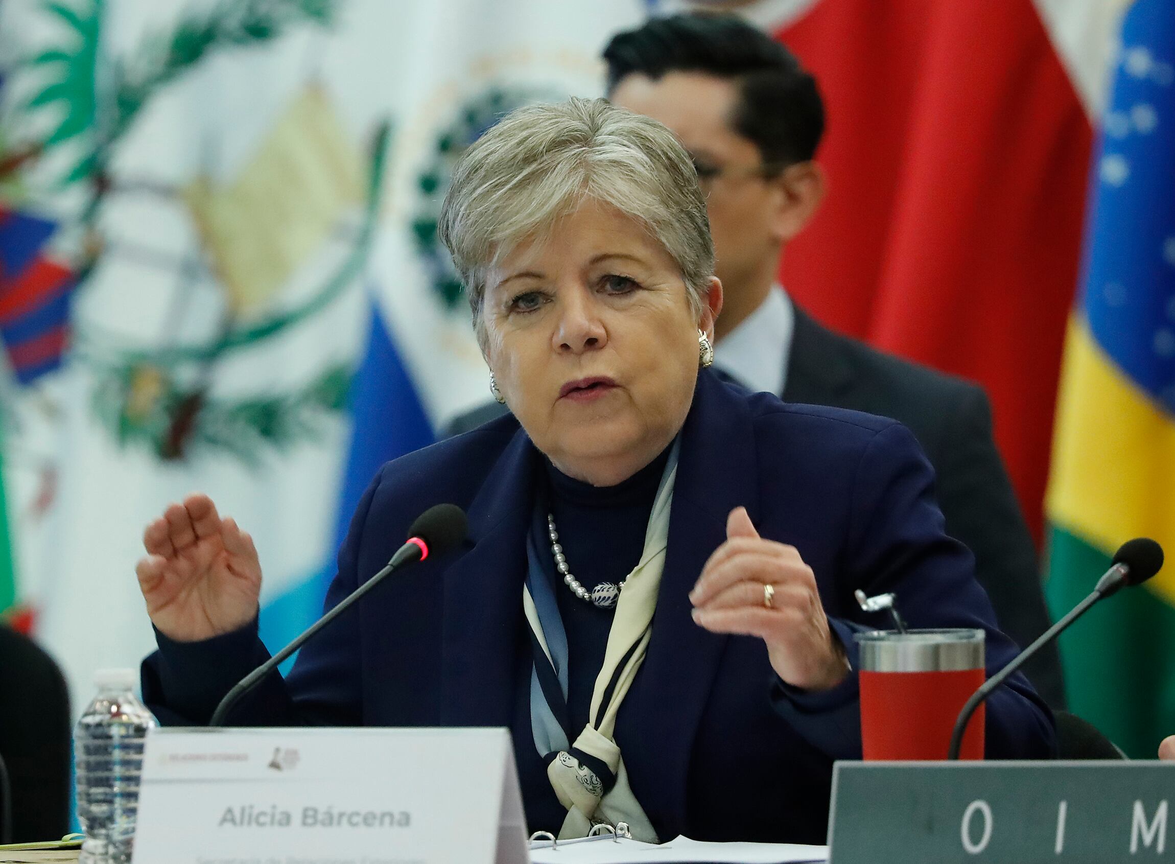 La canciller mexicana, Alicia Bárcena. Foto: EFE/ Mario Guzmán