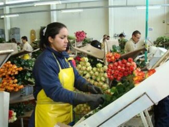 Foto: El Tiempo - Portafolio