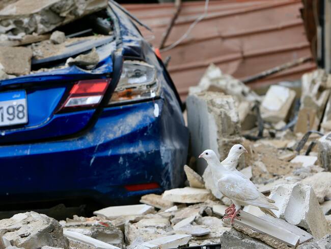 Barja (Lebanon), 12/10/2024.- Pigeons stand on the rubble of a building following an Israeli military strike on Barja, south of Beirut, Lebanon, 12 October 2024. According to the Lebanese Health Ministry, at least four people were killed and 14 others injured in the Israeli strike on Barja as rescuers continued to work at the site. More than 2,200 people have been killed and over 10,500 others have been injured in Lebanon since the beginning of the Israeli-Hezbollah conflict, the Health Ministry stated. (Líbano, Hizbulá/Hezbolá) EFE/EPA/STRINGER