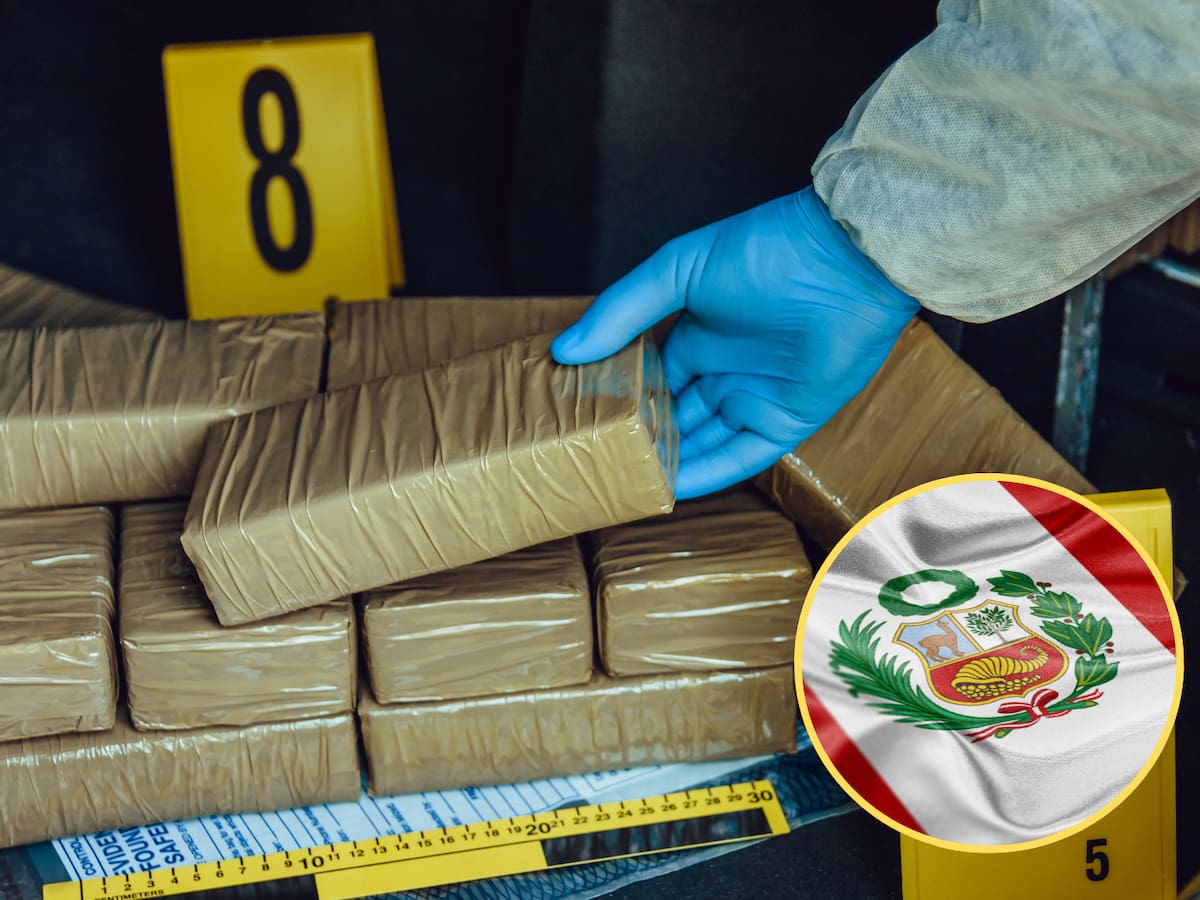 Destruyen más de 5 toneladas de cocaína y 22,5 toneladas de hoja de coca halladas en Perú