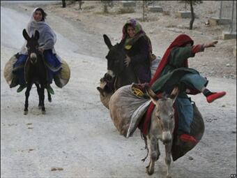 Las vacaciones de los burros. Foto: BBC Mundo