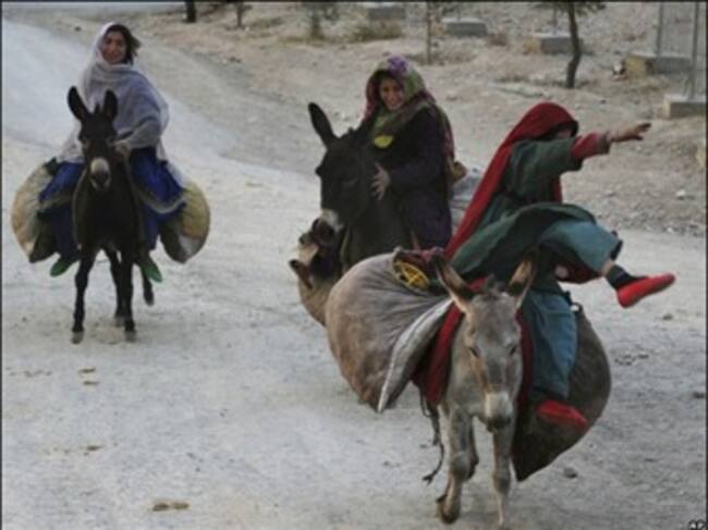 Las vacaciones de los burros. Foto: BBC Mundo