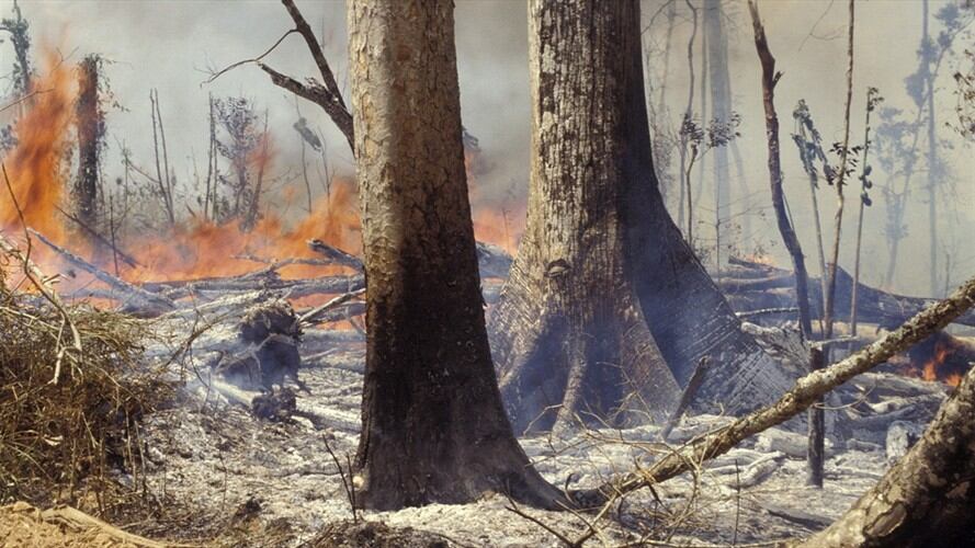 Se deben buscar soluciones, este tema es muy malo para la salud: Paulo Moutinho. Foto: Getty Images