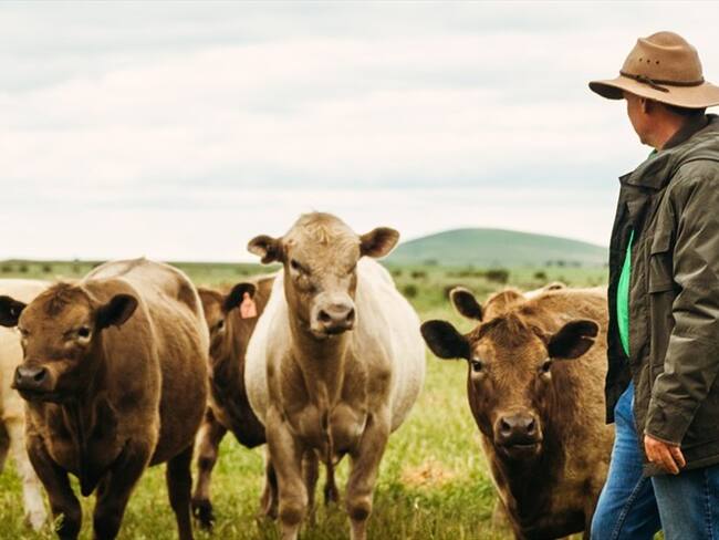 El Grupo Éxito le apuesta a la ganadería sostenible en Colombia