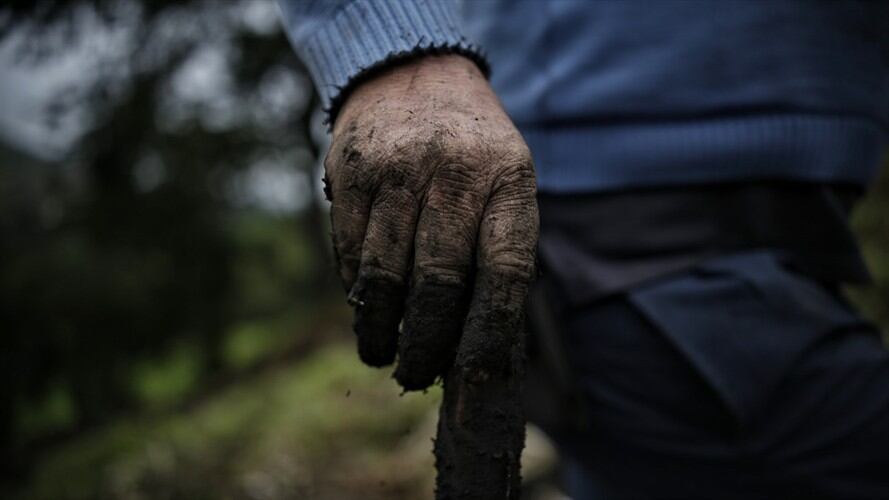 Corte niega petición del Gobierno de aplazar el debate sobre terrenos baldíos. Foto: Colprensa