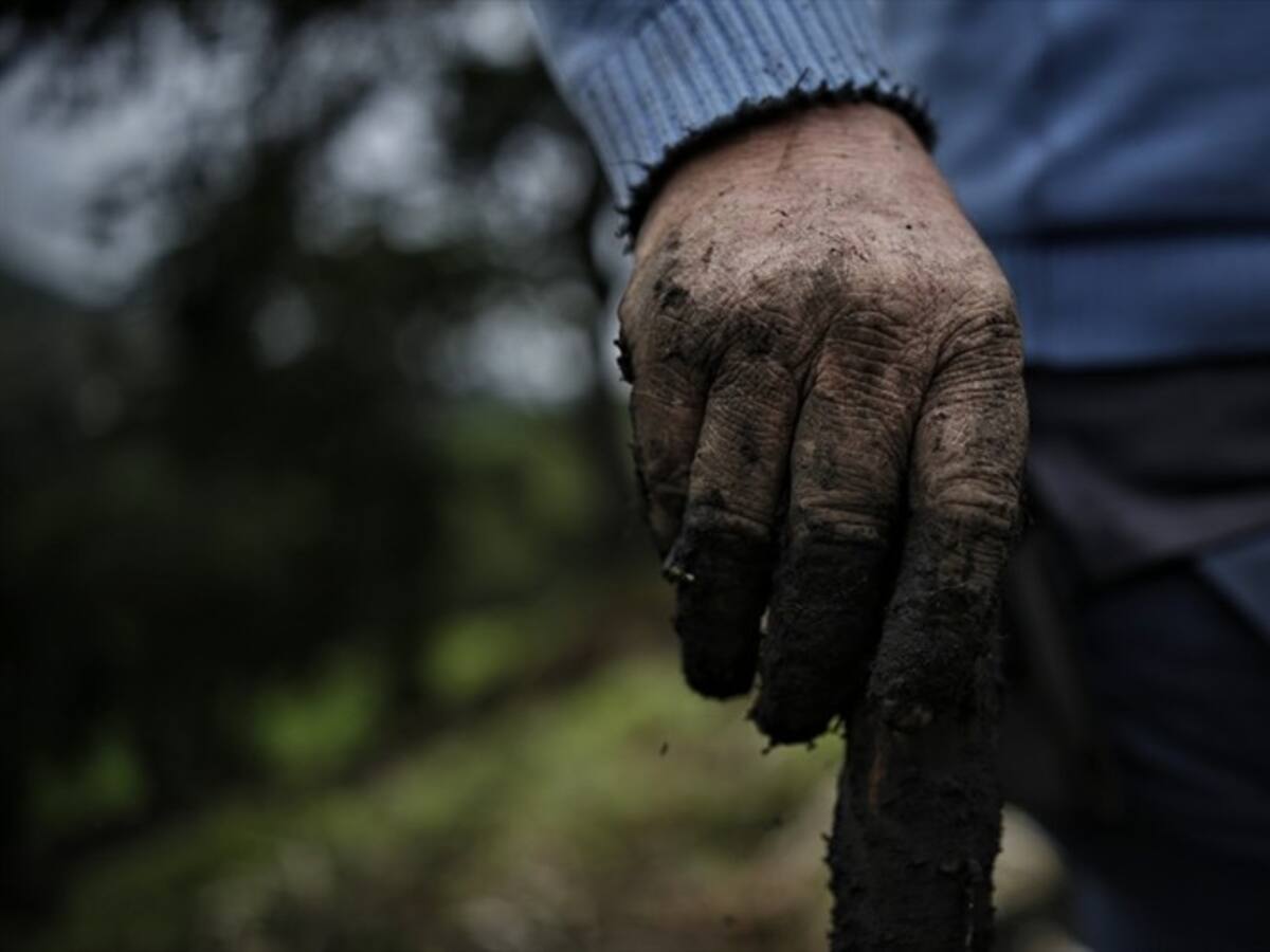 Corte niega petición del Gobierno de aplazar el debate sobre terrenos baldíos