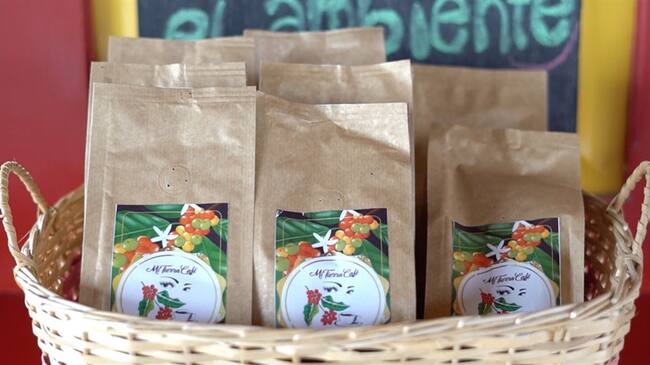 El café de Quindío ahora tiene rostro de mujer. Foto: #AliadosW