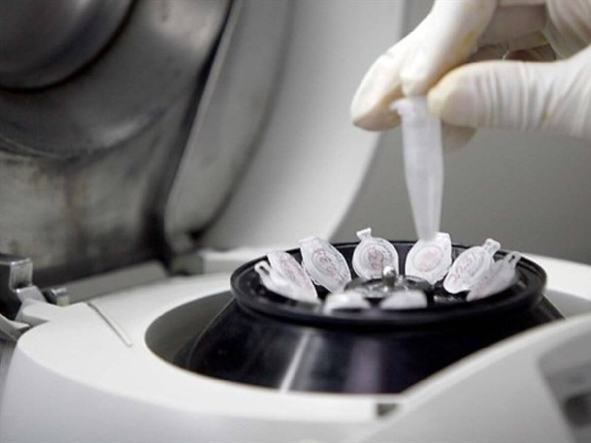 La ley que pretende buscar criminales a través de perfiles genéticos