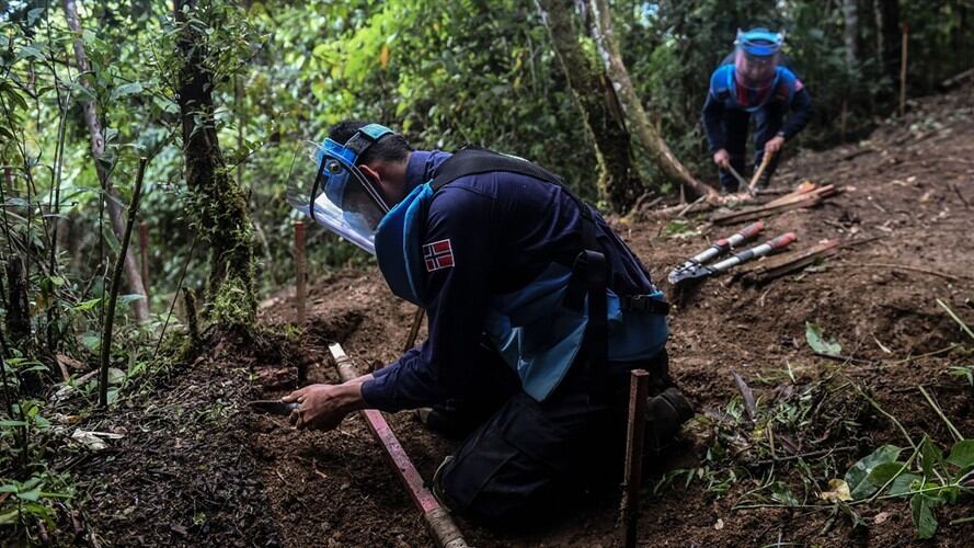 Durante los últimos años, la cifra de los municipios descontaminados de sospecha de minas antipersonas asciende a 167 en total. Foto: Getty Images