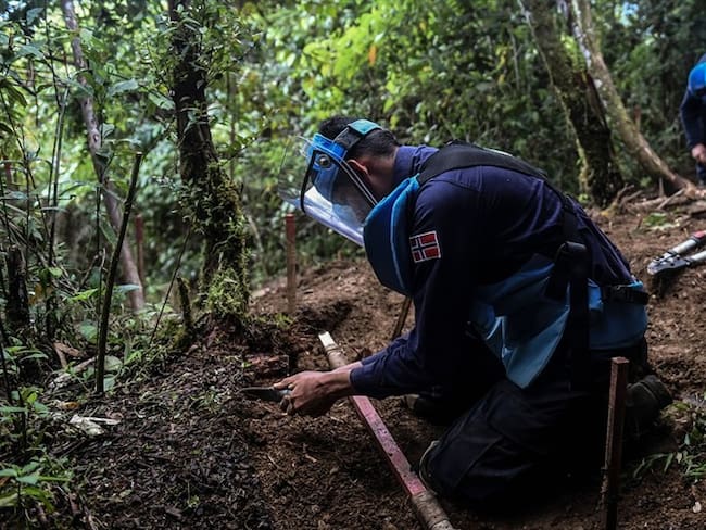 Durante los últimos años, la cifra de los municipios descontaminados de sospecha de minas antipersonas asciende a 167 en total. Foto: Getty Images
