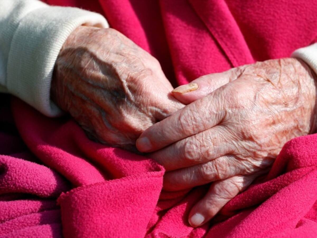 Vea el particular proyecto antienvejecimiento en Antioquia que se basa en Noé y Matusalén