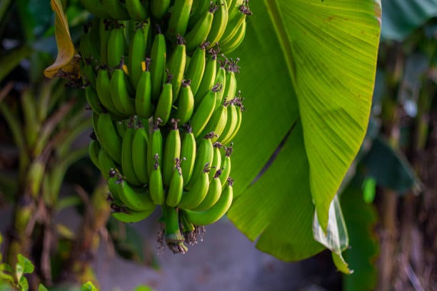 Imagen de referencia. Foto: GettyImages