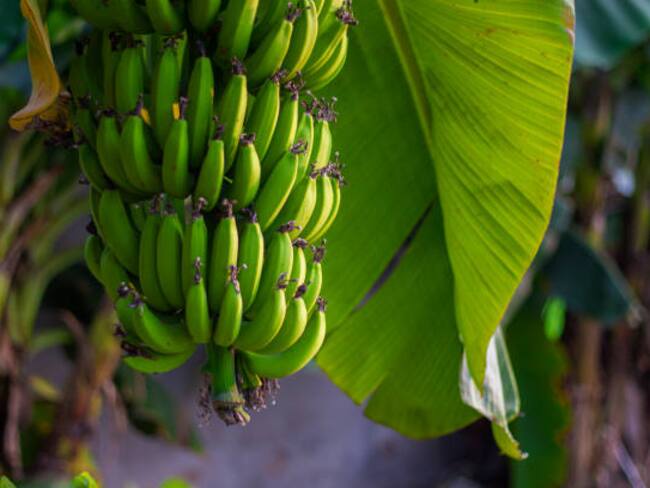 Imagen de referencia. Foto: GettyImages