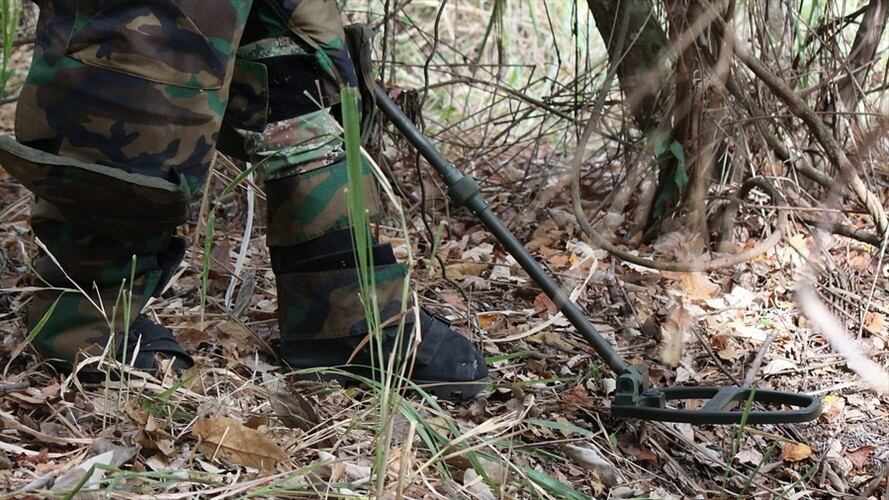 Imagen de referencia. Foto: Colprensa