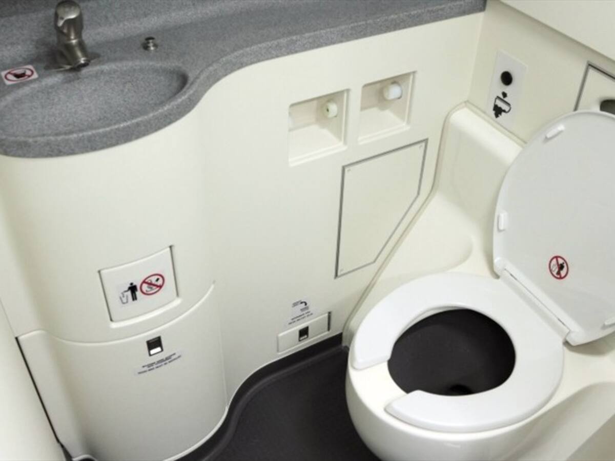 Hombre asegura que arrojaron los desechos del baño de un avión en su jardín