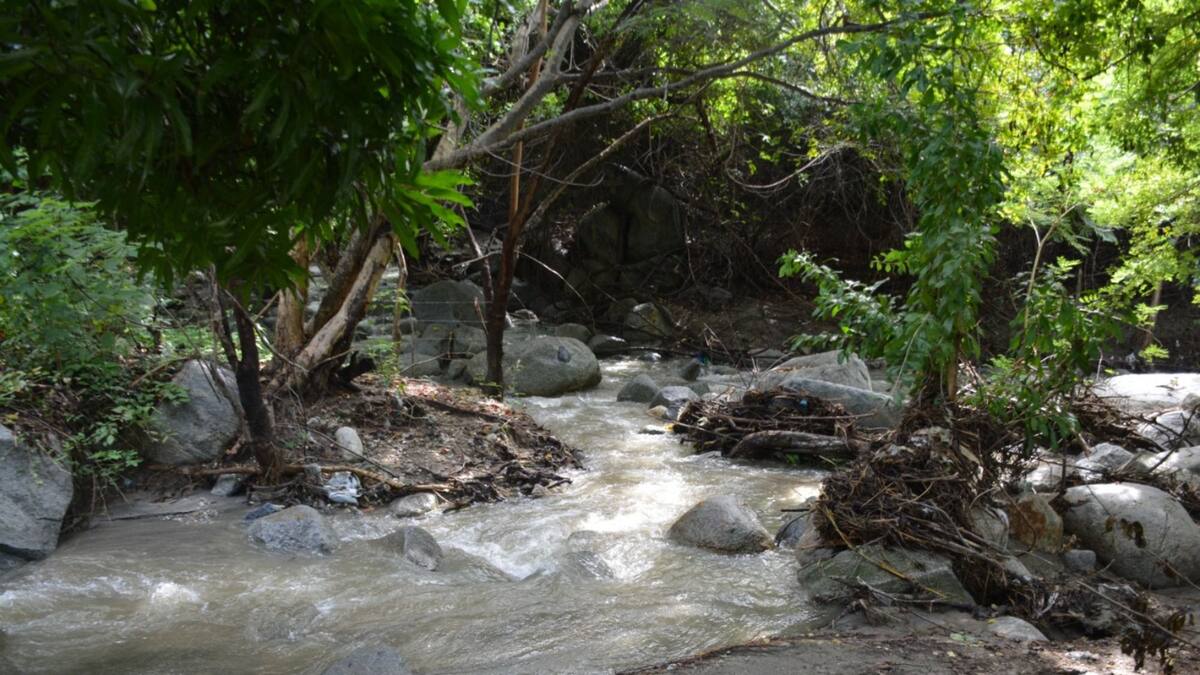 Lanzamiento de proyecto ambiental comunitario en Santa Marta