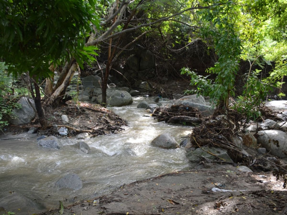 Lanzamiento de proyecto ambiental comunitario en Santa Marta