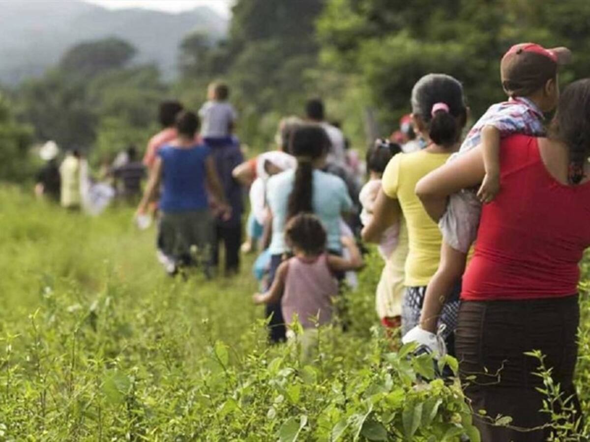 Enfrentamientos de grupos armados generan desplazamiento en zona rural de Cúcuta