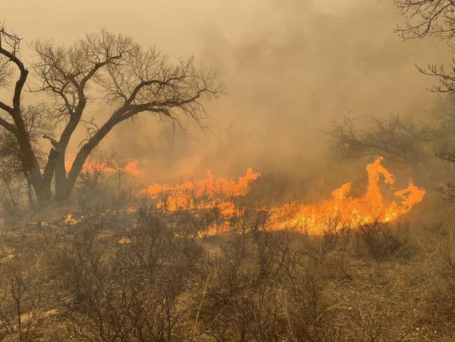 Incendio en Texas (Photo by Greenville Firefighter Association/ Handout /Anadolu via Getty Images)