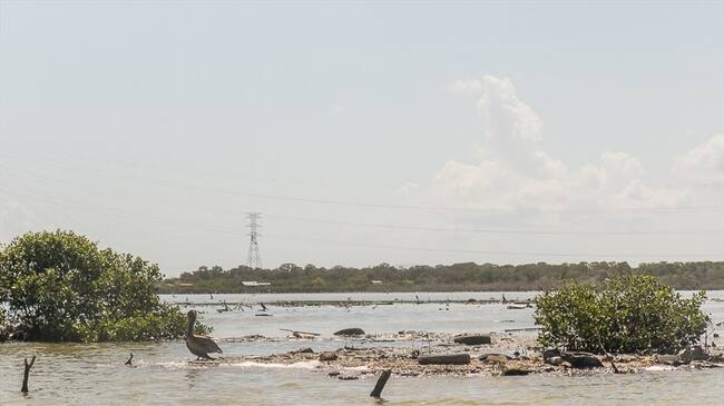 Ciénaga de la Virgen, en Cartagena. Foto: Tomada de CdeR