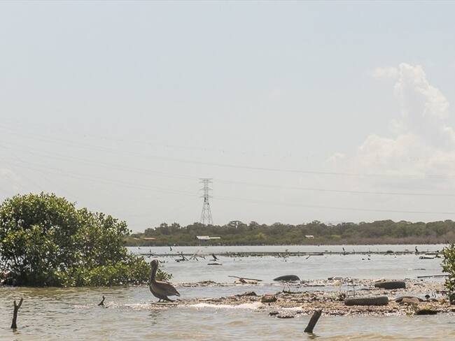 Ciénaga de la Virgen, en Cartagena. Foto: Tomada de CdeR