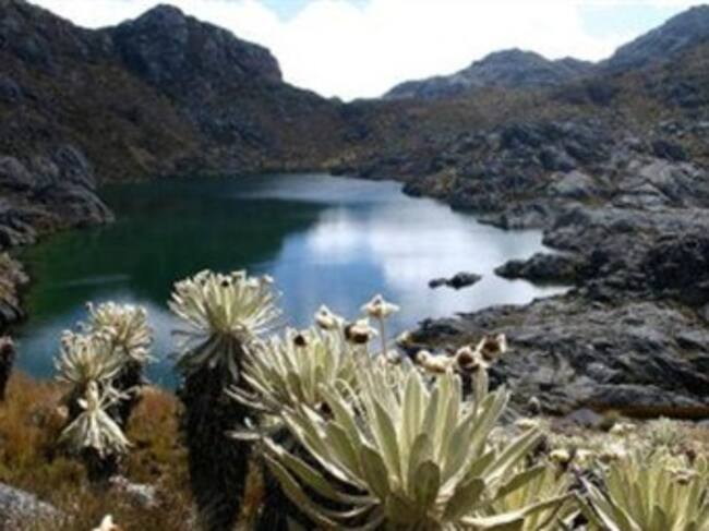 El páramo de Santurbán es una fuente de riqueza hídrica. Foto: Difusión