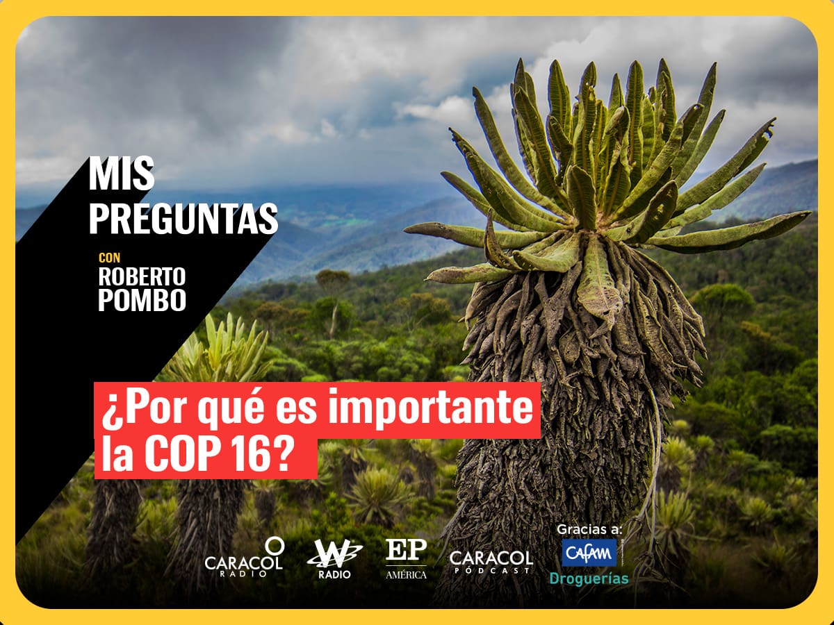 Mis Preguntas, con Roberto Pombo: ¿Qué es y para qué sirve la COP?