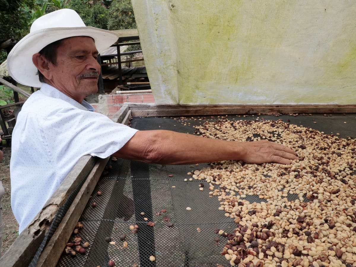 En febrero se llevará a cabo la Feria del Café 2025 en Norte de Santander