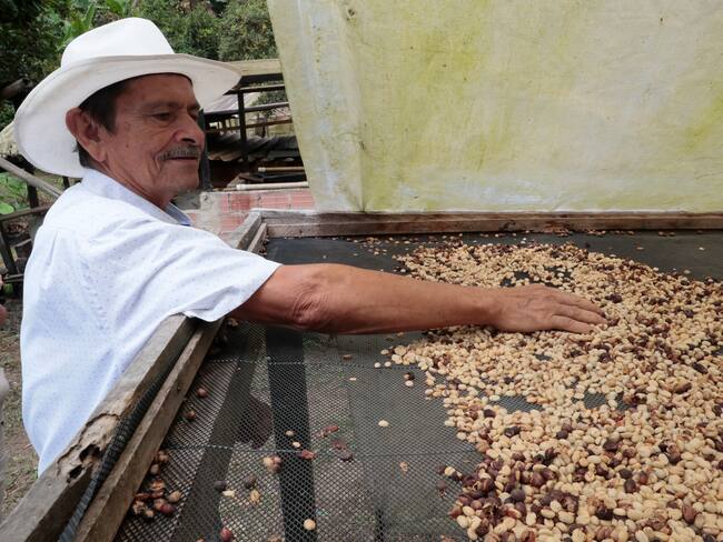 Campesino cafetero. / EFE/ Carlos Ortega/ ARCHIVO