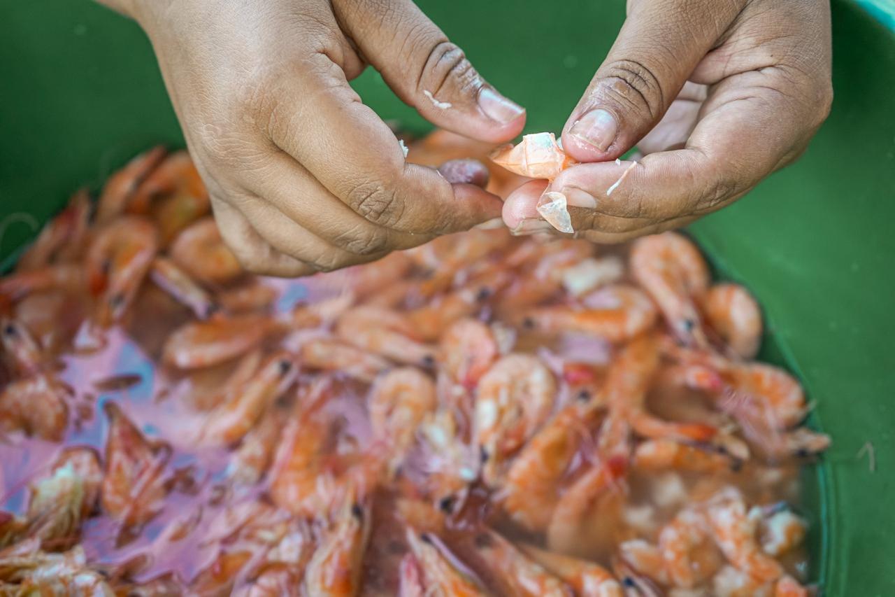 Producción de camarón