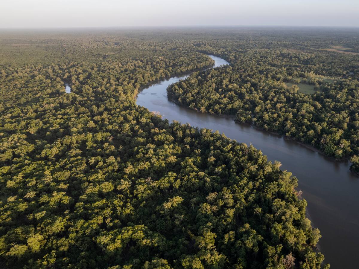 ¿Cuál es el río más caudaloso del mundo? Está en Colombia y atraviesa 6 países de Sudamérica