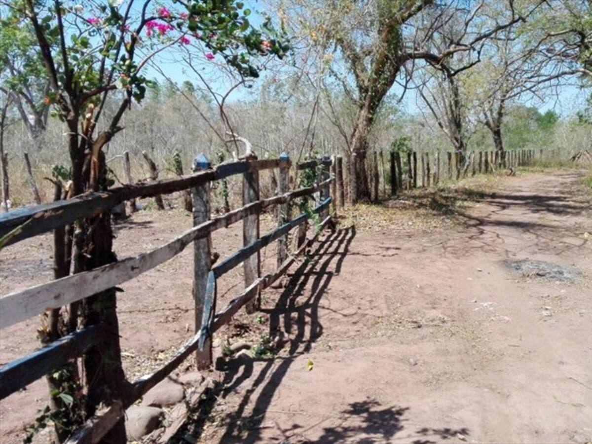 Juez favoreció familias que fueron obligadas por paramilitares a dejar sus tierras
