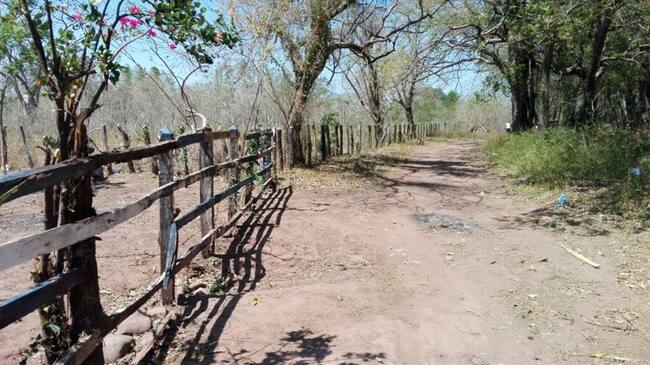 Las autoridades incluyeron a las 49 familias en el programa de proyectos productivos que les permitirá tener asesoría técnica, subsidio de vivienda, atención sicosocial, salud y educación, entre otros. Foto: Colprensa