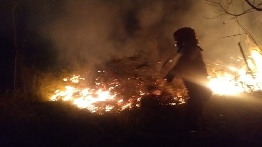 Más de cinco hectáreas de vegetación fueron afectadas por un incendio forestal. Foto: Erika Rebolledo (W Radio)