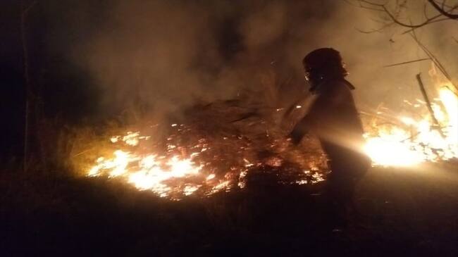 Más de cinco hectáreas de vegetación fueron afectadas por un incendio forestal. Foto: Erika Rebolledo (W Radio)
