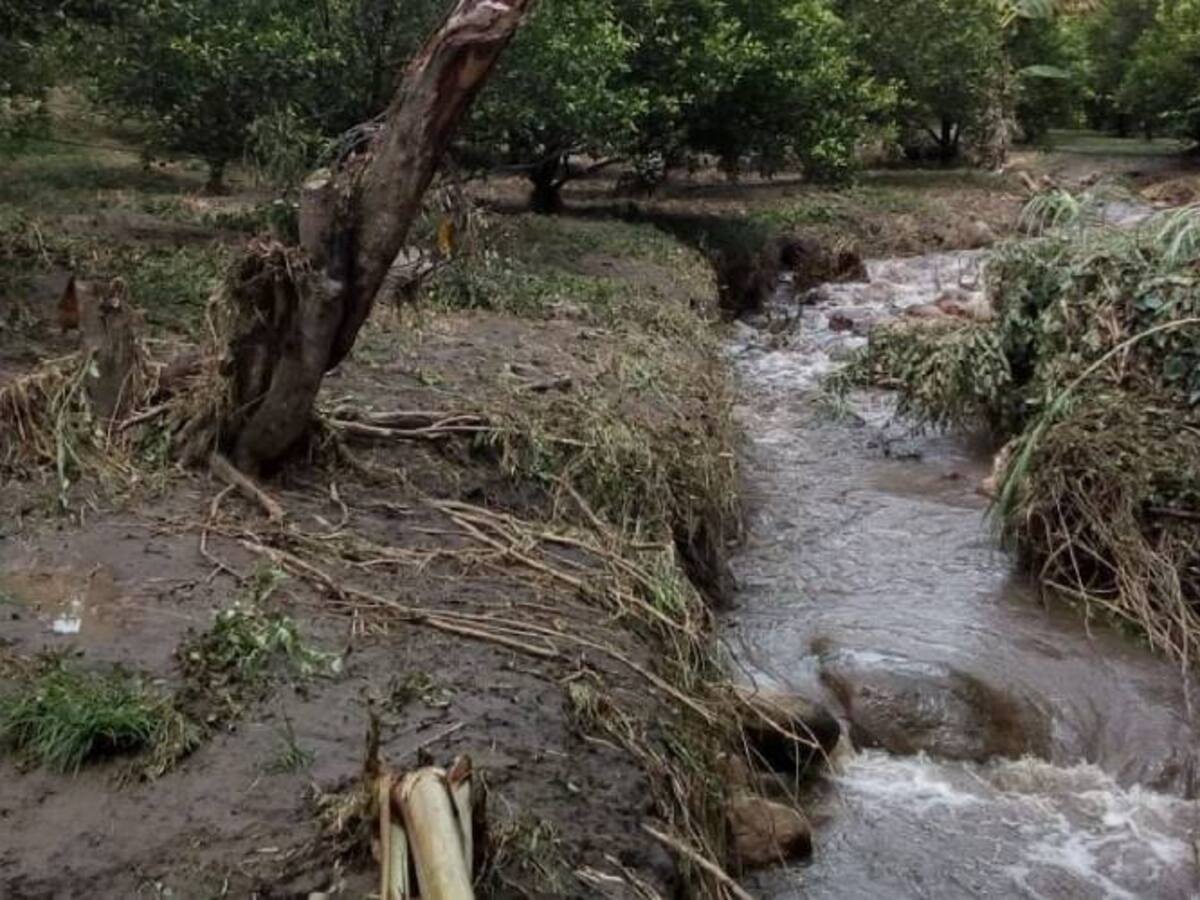 Quebrada en Simacota se desbordó y afectó cultivos