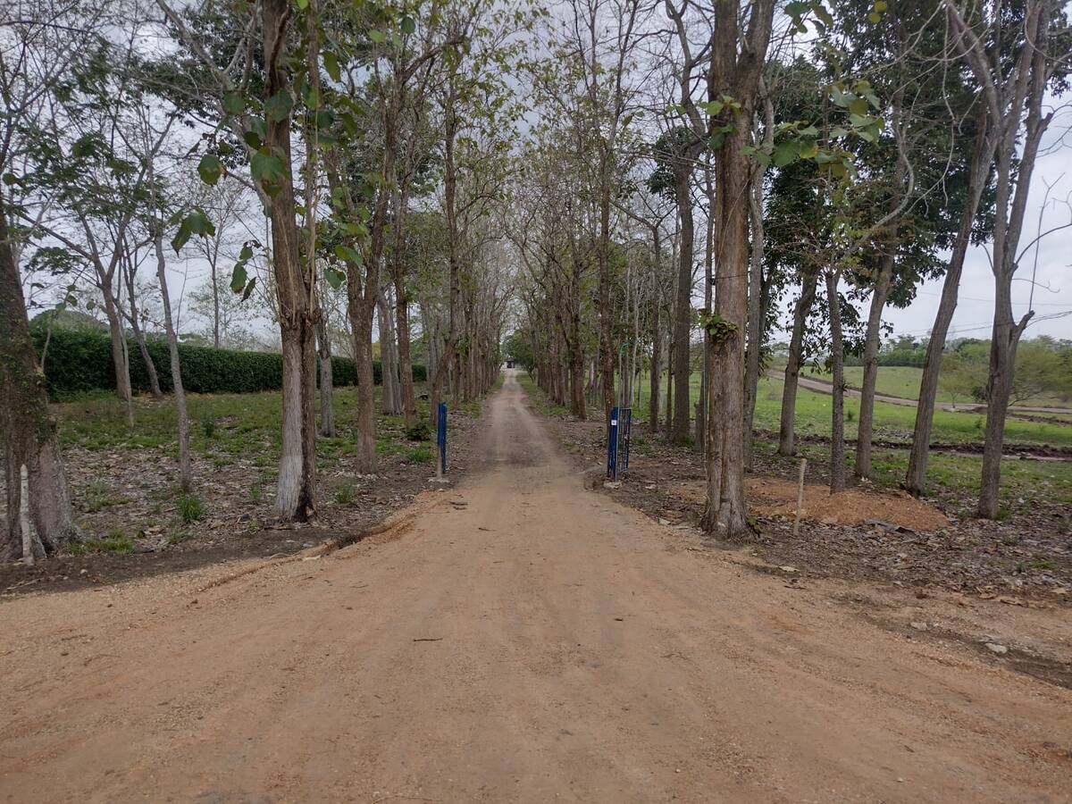 Familia de Eudaldo Díaz pedirá que JEP proteja antigua finca de Salvador Arana