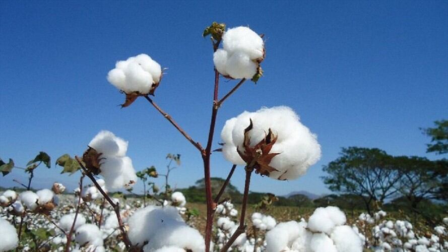 Imagen de referencia. Foto: Colprensa