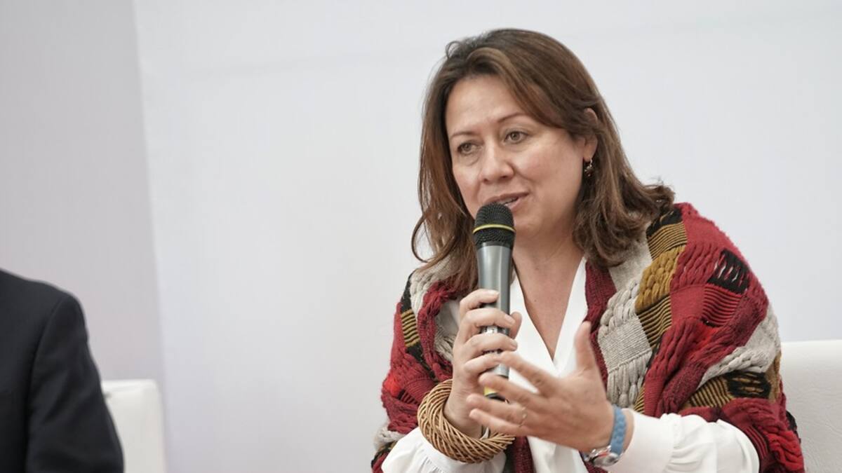 “No vamos a afectar la producción nacional con reducción de aranceles de productos importados”: MinComercio