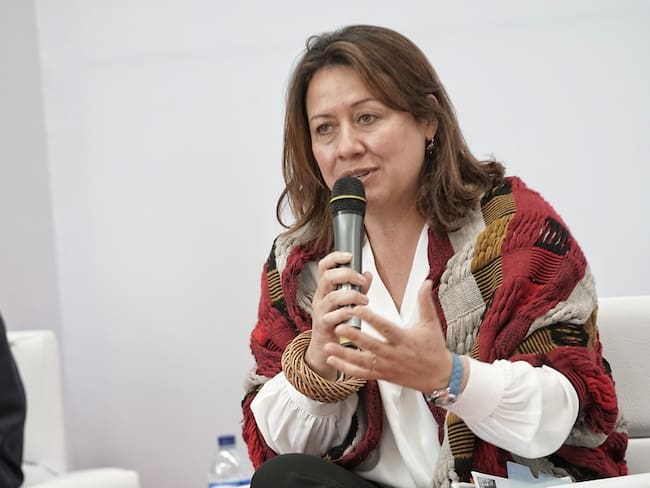 ¿Qué hará el Gobierno para contrarrestar la inflación? MinComercio responde