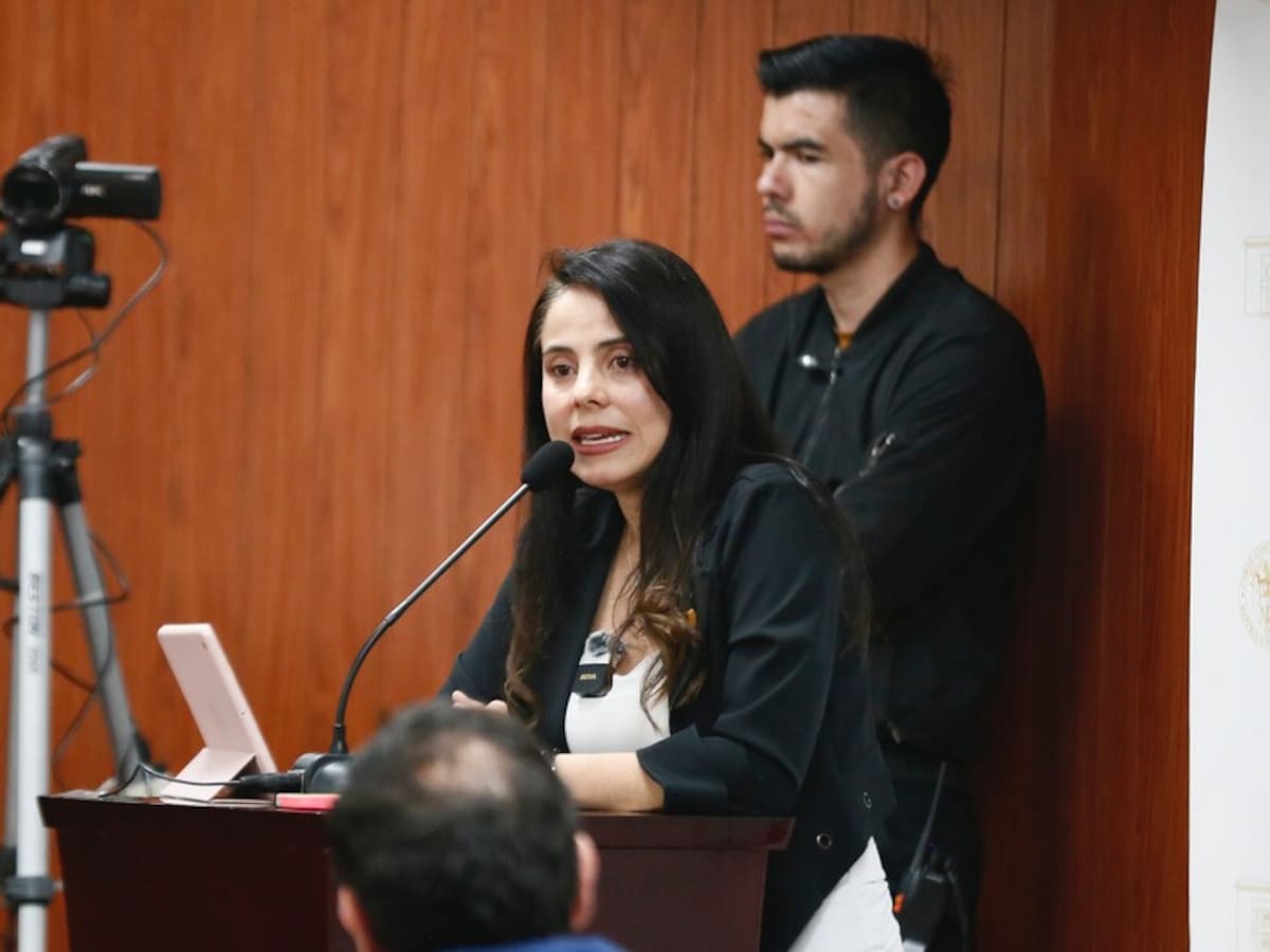 Procuraduría y Fiscalía parecen jefes de la oposición: senadora Esmeralda Hernández